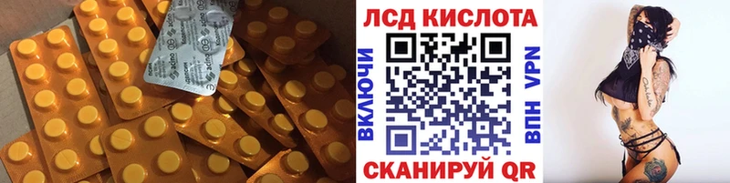 Купить закладки  Павлово  ЛСД экстази ecstasy 